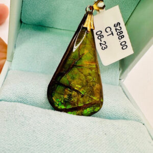 14Karat Yellow Gold Natural Ammolite Pendant 35mmx20mm