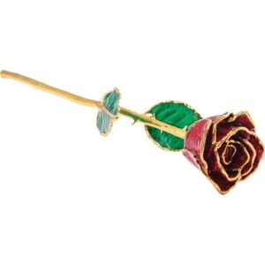 Real Rose 24K Gold, Forever Love & Promise